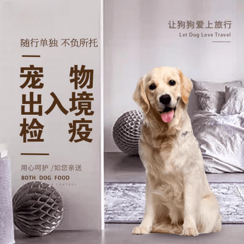 新余市宠物托运到哥伦比亚猫狗宠物入境规定和