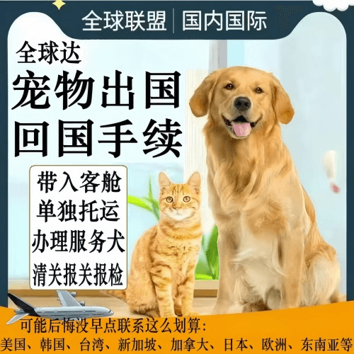 新余市宠物托运到柬埔寨宠物入境规定和要求