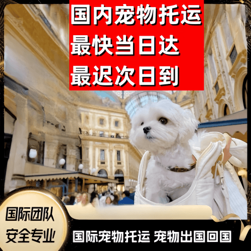 新余市到澳大利亚（澳洲）宠物入境规定和要求