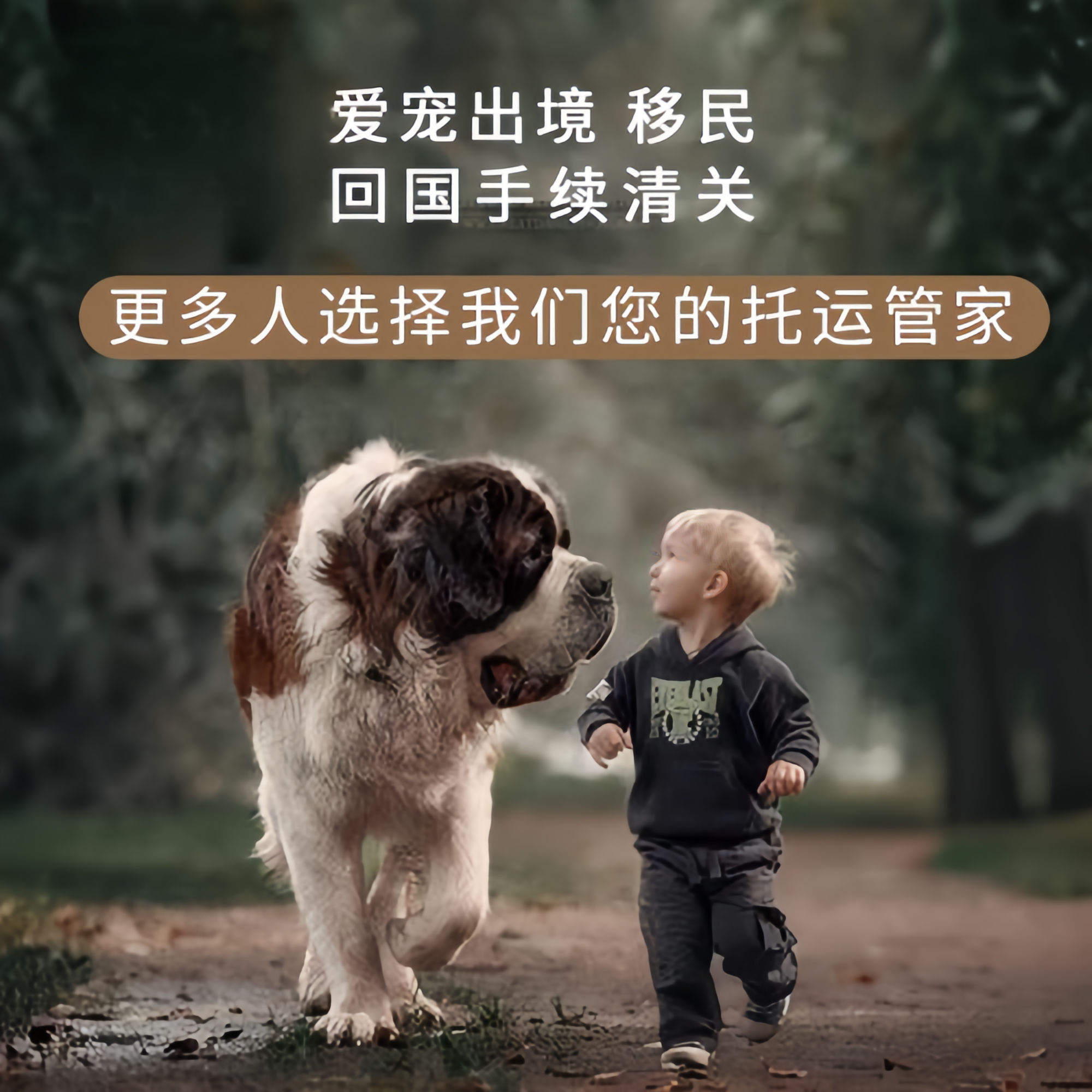 满财新余市宠物全球达宠物托运在遵守入境目的地政策的条件