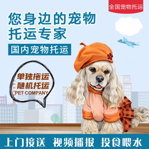 满财新余市宠物全球达宠物托运作为专业的宠物运输代理机构